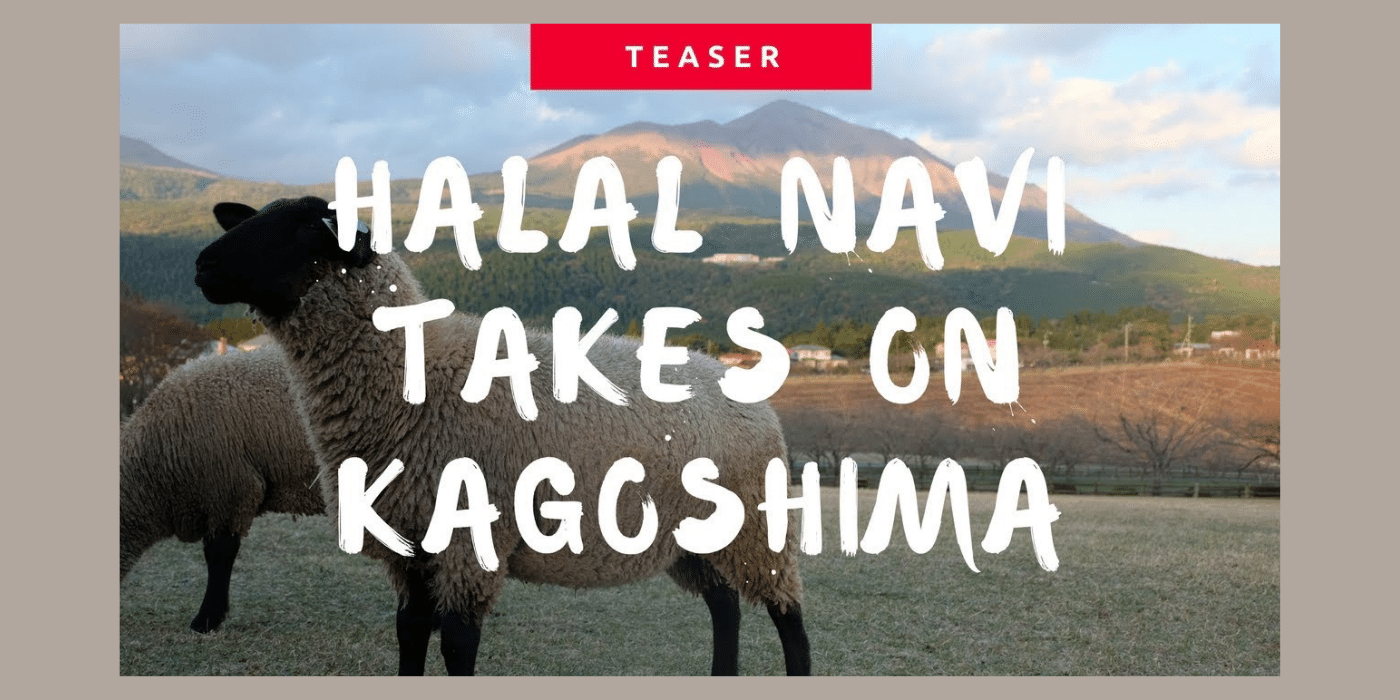 kagoshima teaser halal navi aqalili azizan