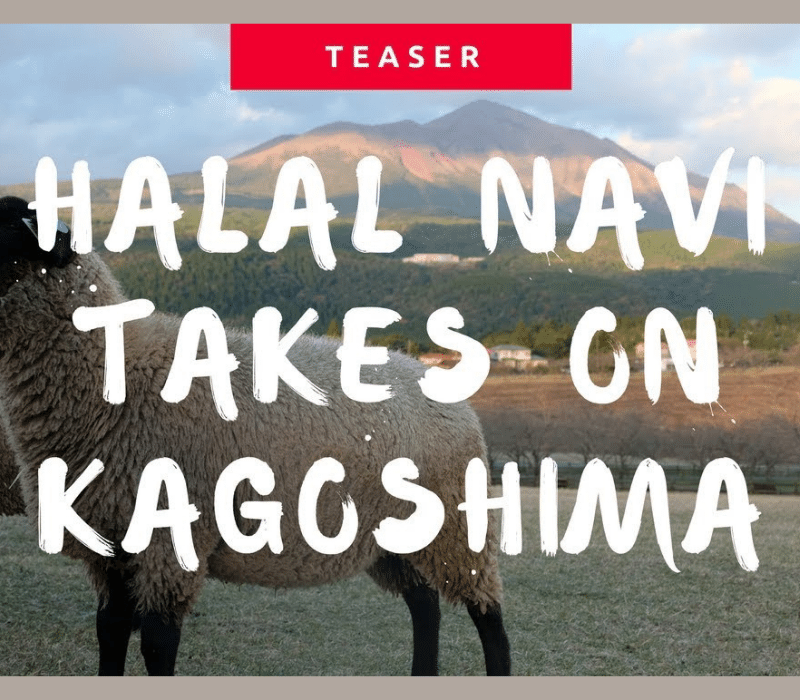 kagoshima teaser halal navi aqalili azizan