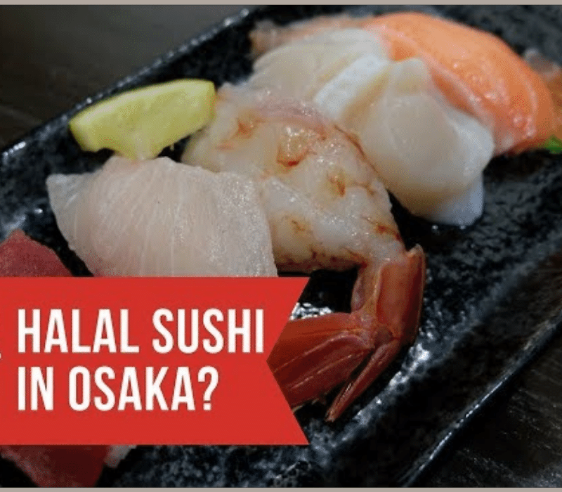 matsuri osaka halal navi aqalili azizan