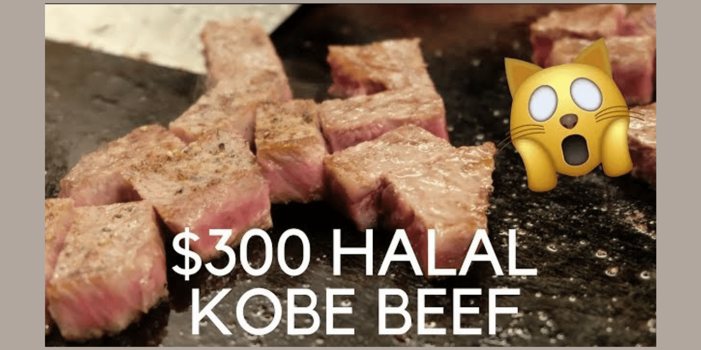 misono kobe halal navi aqalili azizan