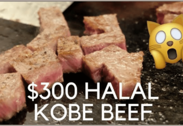 misono kobe halal navi aqalili azizan