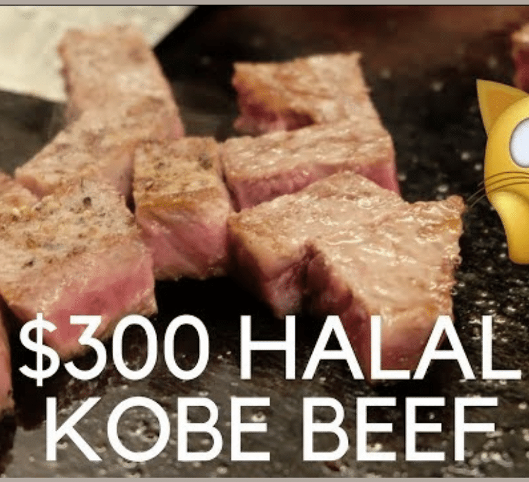 misono kobe halal navi aqalili azizan