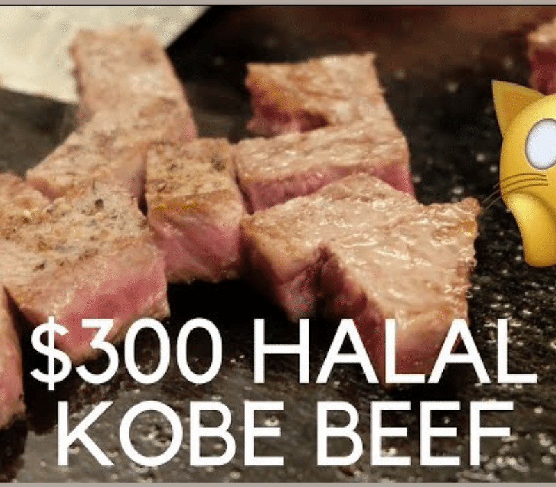 misono kobe halal navi aqalili azizan